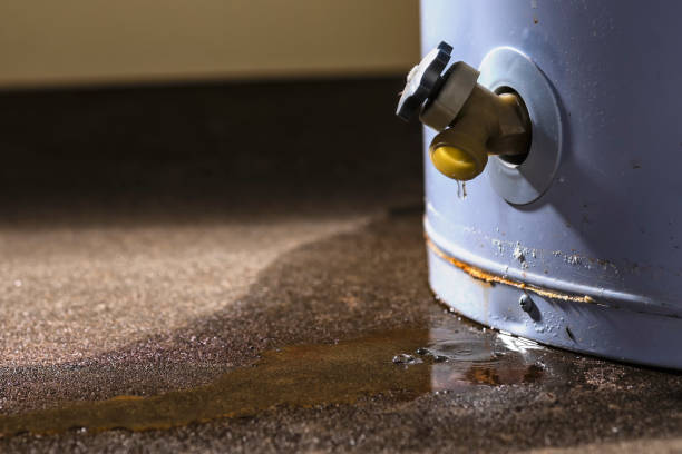 Best Water damage restoration near me  in Highland, CA