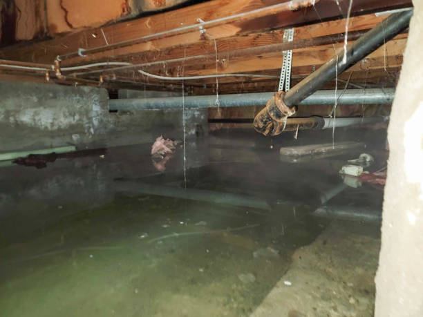 Best Water damage restoration services  in Highland, CA
