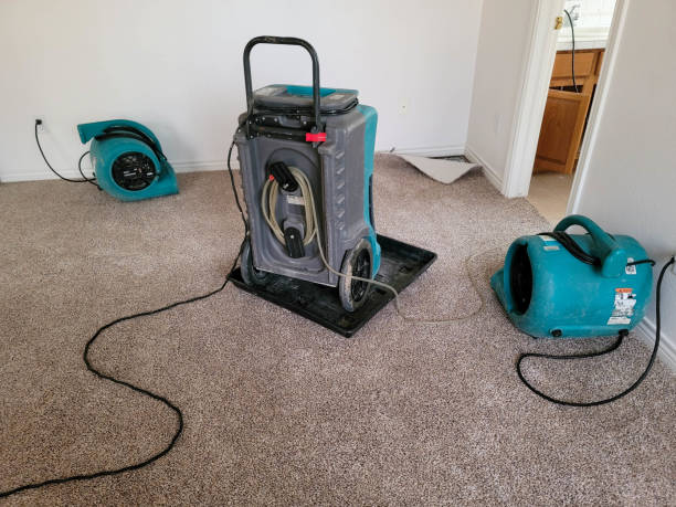 Best Professional water damage repair  in Highland, CA