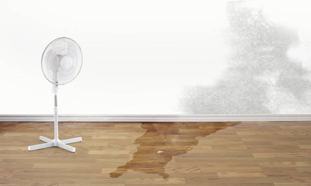 Best Water damage restoration process  in Highland, CA