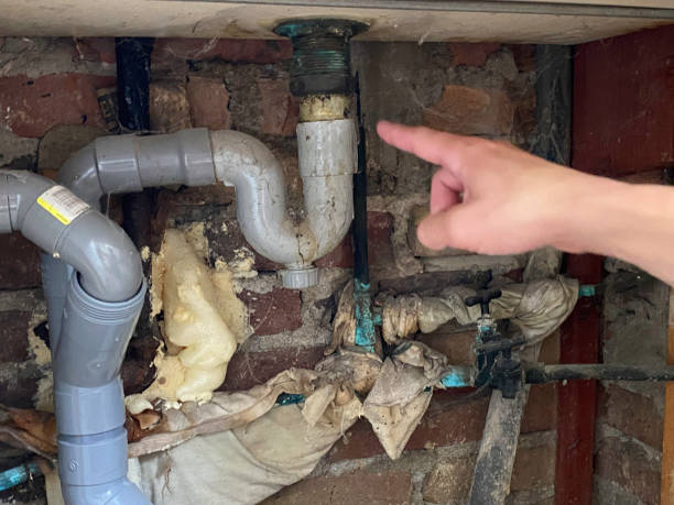 Best Flooded house restoration  in Highland, CA